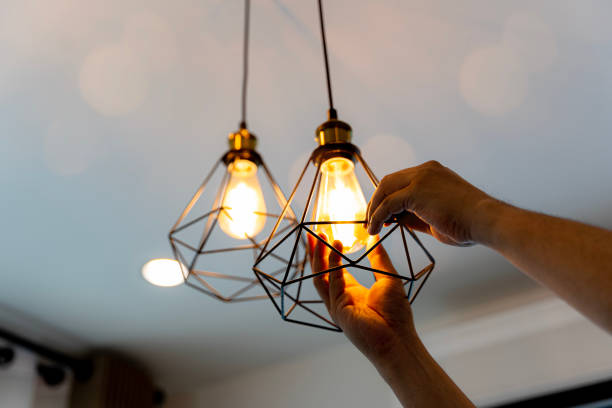 Best Electrician for Home Renovation  in Cedarburg, WI